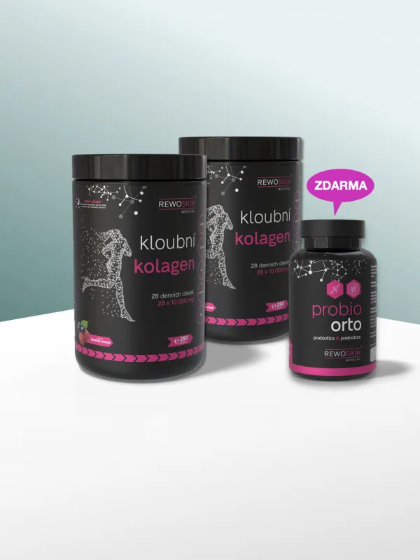 Produkt Výhodný balíček KLOUBNÍHO KOLAGENU - 2 dózy na 3 měsíce + DÁREK PROBIO ORTO Obrázek