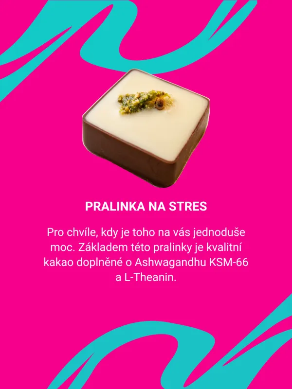 PRALINKA NA STRES - dýně