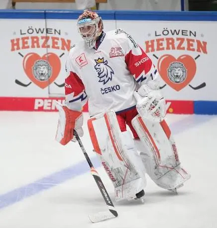 Nick Malík - hokejový brankář